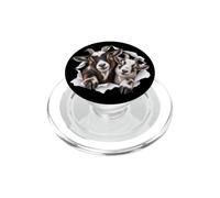 Chèvres pygmées Amusantes regardant Les Amoureux des Animaux du Zoo Mignon PopSockets PopGrip pour MagSafe