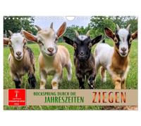 Chèvres - Saut de bouc à travers l'année, Version française (Calendrier mural 2026 DIN A4 portrait), Calendrier CALVENDO mensuel