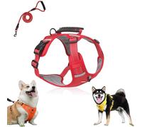 Chewie Cozy Harness,Getchewie Dog Harness,2025 New no Pull Dog Harness,with Leash Set,Y-Shaped Design Choke Free,with a Sturdy Metal D-Ring,Reflective Adjustable Comfortable Pet Chest (Red,XS)