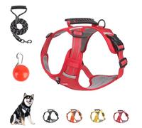 Chewie Cozy Harness, Reflective Adjustable Comfortable Pet Chest, Y-Shaped Design Choke Free, with a Sturdy Metal D-Ring, LED Light, Leash Set, for Medium Or Small Dogs (M,Red)