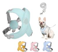 Chewie - Harnais confortable Getchewie pour chien de petite, moyenne et grande taille, réfléchissant, réglable et confortable, anti-traction avec laisse - gilet anti-fugue pour chiens de petite