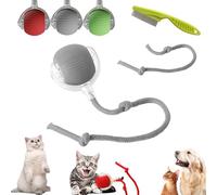 Chewie Interactive Rolling Ball, Chase Mate pour Chiens et Chats, Jouet Intelligent Automatique pour Animaux de Compagnie Ennuyés en Intérieur (Gris-C)