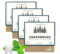 Chewing-gum à La Menthe Mastic Naturel, Chewing-gum Reminéralisant Underbrush, 2025 New Organic Natural Mastic Mint Underbrush Gum, Sans Sucre Rafraîchit L'haleine (Menthe mastic)