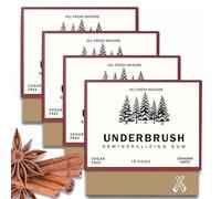 Chewing-gum à La Menthe Mastic Naturel, Chewing-gum Reminéralisant Underbrush, 2025 New Organic Natural Mastic Mint Underbrush Gum, Sans Sucre Rafraîchit L'haleine (CinnaMastic)