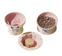 CHEWJOY Adorable Ensemble de 3 gamelles en céramique pour Chats Exotic Shorthair, Comprenant Une gamelle d'eau, Une gamelle inclinée et Un Bol Peu Profond. C