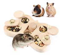 Chewtoyo Friandises interactives stimulant les cochons d'Inde Sucre en 1 jouet Peterson 4 Hamster Religion Appels Plug Mental Flow Games Rats Animaux et Bolton Petit pour Fortune