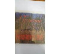 Cheyenne Country: Instrumental Hits