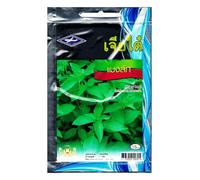 Chia Tai, Graines de Jardin, Basilic-Citron Hoary Basil, 600 graines