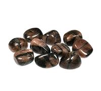 Chiastolite Lot de 5 pierres de 20 à 25 mm