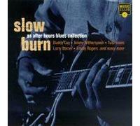 Chicago Blues Session, Vol. 13