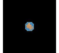 Chicago - Chicago Transit Authority [Import]