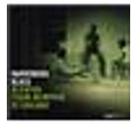 Chicago slide guitar masters