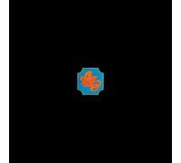 Chicago Transit Authority [Analog]