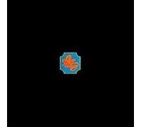 Chicago Transit Authority Vinyle Rouge E