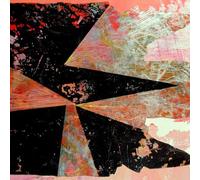 Chicago Underground Duo - Locus-Digi