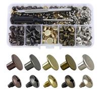 Chicagos Lot de 125 vis de reliure multi-usages avec poinçons et tournevis