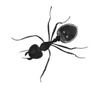 CHICAMPERA Ant Réaliste pour Garçon Fille Éducatif pour Expériences Scientifiques Intérieures et Extérieures Insecte Animé