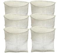 CHICAMPERA Lot de 6 protecteurs de Racines en Acier Inoxydable pour Plantes et légumes en extérieur avec Maille Anti-Rouille et résistance aux rongeurs