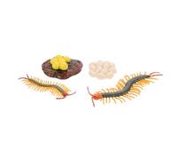 CHICAMPERA Set de Modèles de Cycle de Vie de Centipède Éducatif pour Figure Réaliste pour Apprentissage des Arthropodes Stimule la Cognition Naturelle Jeu Interactif