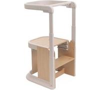 CHICCO - Tour d'apprentissage 4en1 Meraviglia Fossil