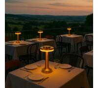 Lumisky Lot de 2 lampes de table sans fil en métal Gold LED blanc chaud/froid 2x CHICGLOW H21cm