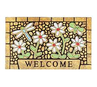 CHICHIC Paillasson de Bienvenue - Tapis d’entrée extérieur pour Maison, seuil, entrée - Antidérapant, Robuste, Profil Bas avec Dos en Caoutchouc - Motif Libellule, 43 x 76 cm