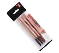 CHICIRIS Ensemble de Crayons à Croquis pour Débutants, 4 Pièces avec des Couleurs Vives pour Dessiner, Ombrager et Colorier