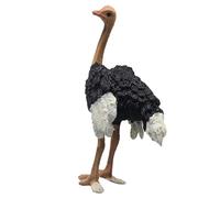 CHICIRIS Figurine D'autruche Réaliste, Jouet Modèle Animal en Plastique Réaliste avec Conception Inspirée de L'encyclopédie pour Les Jeux éducatifs des Enfants