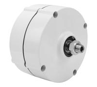 CHICIRIS Générateur à Aimant Permanent, Alternateur CA triphasé 300 W AVAN-300w avec Terre Rare NdFeB et Conception à Basse Vitesse pour Alimentation Industrielle (avec redresseur 48V)