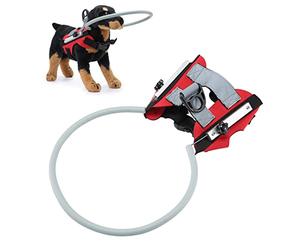 CHICIRIS Halo Réglable pour Chien Aveugle pour la Sécurité (M Diamètre | Harnais respirant, prévient les blessures, réfléchissant pour une utilisation nocturne, convient à les animaux