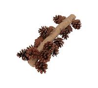 CHICIRIS Jouet de Broyage de Bec de Perroquet, Jouet Suspendu en Forme de Pomme de Pin en Bois pour Oiseaux, Mastication Saine, 1 unité (Grand 24 Pouces)