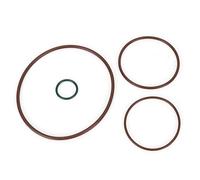 CHICIRIS Kit de Bagues d'étanchéité de Pompe à Vide Ensemble de Joints Toriques ABS 06D145100H Remplacement Bonne étanchéité Ajustement Direct Installation Simple pour GLI A3 TT 2005 à 2008.5 2.0T