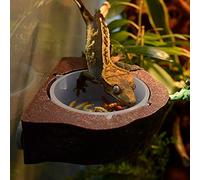 CHICIRIS Plat d'eau pour Reptiles, Bol d'alimentation en Plastique avec Aimant Puissant, Plate-Forme 'Alimentation Surélevée pour Animaux Grimpants (Brown)