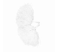 CHICIRIS Pom Poms de Cheerleading 2PCS PE Cheer Pom Poms Accessoire Léger d'esprit d'équipe en 8 Couleurs pour Les Enfants, Les Fêtes, Les événements Sportifs, Les Spectacles sur Scène et la à