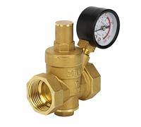 CHICIRIS Régulateur de Pression de l'eau RV, Manomètre de Pression d'eau avec d'entrée de 1,6 MPa DN25 en Laiton Regardable de Calice Réglable