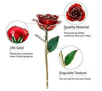 CHICIRIS Rose en Or 24 Carats, Véritable Rose Trempée dans de 24 Carats pour Une Conservation à Vie, œuvre d'art Unique Fabriquée à la Main sur Le Thème des Bijoux et des Fleurs, 11 à