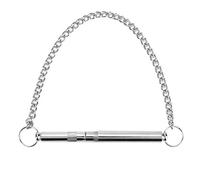 CHICIRIS Sifflet de Dressage pour Chien, Son Ultra Sonique Réglable, pour Contrôler Les Aboiements des Chiens, Chaîne en Métal argenté de 5 Pouces