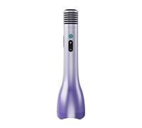CHICIRIS Sound Clair, Effets Sonores Multiples, Micro-Haut-Parleur Microphone Portable en Haut-Parleur Rechargeable karaoké Micro pour Ktv Chant, écoute Musicale, Enseignement avec Alliage