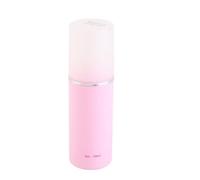 CHICIRIS Spray de Perruque à Verrouillage D'hydratation de 100ml, pour Perruques en Soie à Haute Température de Poupée, Solution de Soins Nourrissante, Portable pour L'école et les Voyages