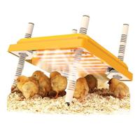 Chick Brooder Plaque chauffante, 25,4 x 25,4 cm, couveuse à poussins, angle et hauteur réglables, incubateurs sûrs avec plaque facile à nettoyer pour poussins/canards, thermostat pour 15 poussins