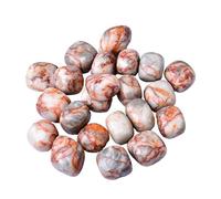 CHICKEN Cristaux Et Pierres en Vrac Cristal Naturel Grille Rouge Pierre roulée Ornement Spécimen de minerai Enseignement des Sciences précieuse Baignoire Fournitures De Culbutage De Roche(500g)