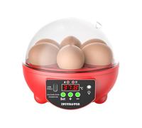 Chicken Egg Incubator - 6-slot Poultry Candler Accessory