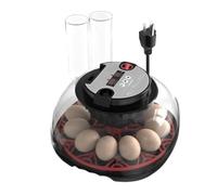 Chicken Egg Incubator, Automatic Temperature Control for 12 Eggs, Cultivation Equipment with Clear Lid and LED Lighting, Ideal for Hatching Chicken, Duck, Pigeon, Quail
