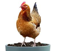 Chicken Garden Decor - 2d Acrylic Hen Statue, Weather Resistant Ornament