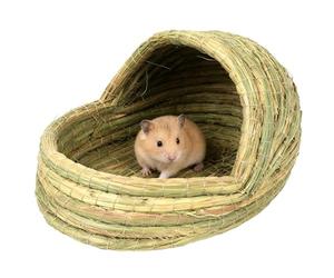 Chicken Nest | Woven Straw House in the Shape of A Slipper | Beds For Ferrets, Chickens, Small Animals, Oiseaux, Cages, Chicken Coops, Farms, Raising Animals, and Sleep