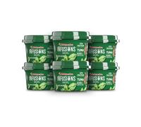 Chicken of the Sea Lot de 6 tasses à infusions de thon, basilic, 80 ml