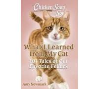 Chicken Soup For The Soul: What I Learned From My Cat