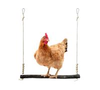 Chicken Swing - Wooden Chick Climbing Accessory, Rooster Claw Grinding Plaything with Natural Perch Design, Farm Orchard Garden Backyard Habitat Enrichment for Animal Lovers Keepers Farmers