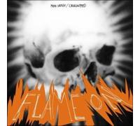 Chicks on Speed - Flame on