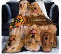 Chickw1 Couverture en Flanelle, 3D Animal Impression Chaudes Moelleuse Couverture en Polaire Microfibre Légères Couvertures Toutes Saisons pour Voyager, Lit ou Canapé (Golden Retriever,150x200cm)